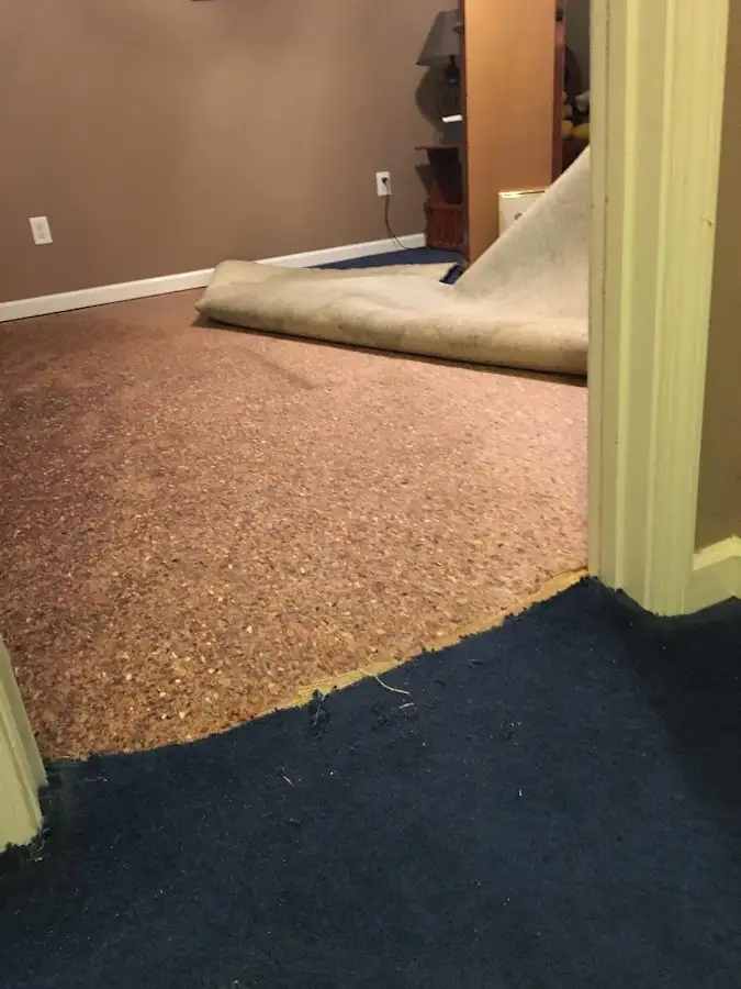 Carpet pad removal revealing water damage during Drying & Dehumidification in Wolf Trap