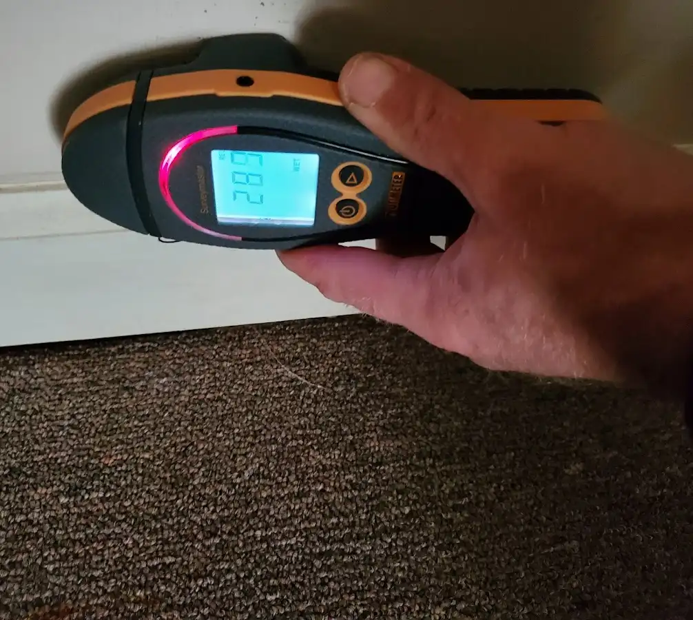 Moisture detection at baseboard during Burst Pipe Cleanup in Wolf Trap